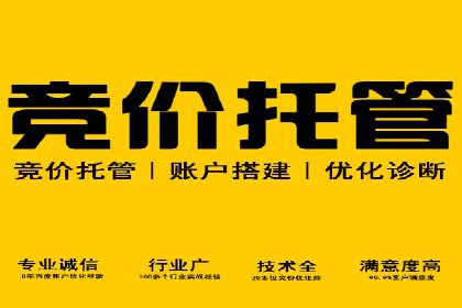 百度品牌专区推广的成效与案例
